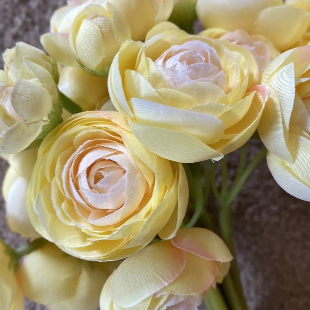 Yellow Cabbage Roses Stems